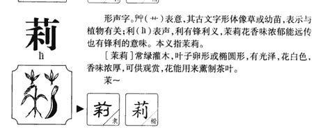 莉名字意思|莉字起名寓意、莉字五行和姓名学含义